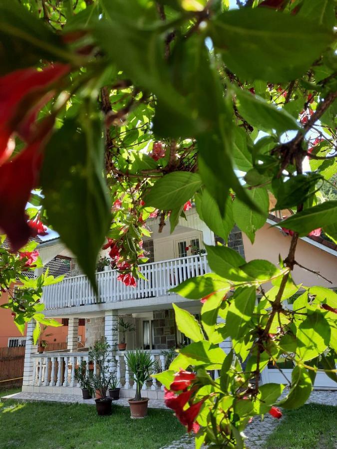 Ibis Hotell Sovata Eksteriør bilde